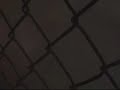 shakira-shaking-her-ass.html