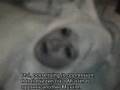 Scary Exorcism Video (REAL!) Part 2 with English Subtitles!