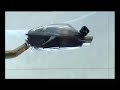 bmw-efficient-mobility-thermoelectric-generator.html