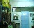 Lawak tanduk bola