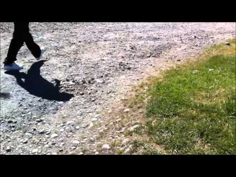 UACh Agreement.wmv