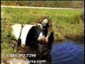 Beaver trap set in open pipe culvert