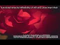 functional tenacity Inflexibility of will and urose imart t.mov