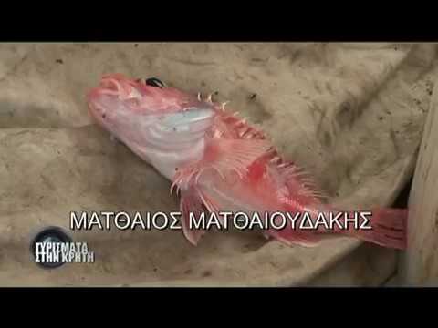 ψαρεμα - Δείτε ολόκληρη την τηλεοπτική εκπομπή ΤΟΥ ΜΑΤΘΑΙΟΥ ΜΑΤΘΑΙΟΥΔΑΚΗ ΓΥΡΙΣΜΑΤΑ ΣΤΗΝ ΚΡΗΤΗ αλιεία, κοινώς ψάρεμα, ΜΑΘΕΤΕ ΓΙΑ ΤΟ ΠΡΩΤΟ...