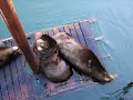 unusual-moments-on-the-oregon-coast.html