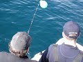 Sharking Donegal