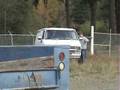 videos de Shed demolition 2