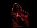 Santiago Feliu - El Colibri