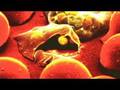 Fighting Malaria in Kenya