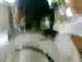 videos de /ttanhuecaaa