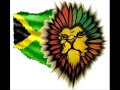 Mosco Fly-Yerba Natural