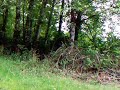 property 4