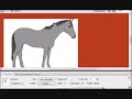 Horse Isle: Appaloosa Drawing
