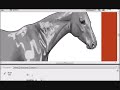 Horse Isle: Appaloosa Drawing