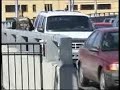 un court documentaire sur une race meconnue redoutee et en voie d'extinction...le punk d'amerique du nord