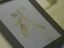 Chinese calligraphy semi-cursive scripts sample: ??????? Chinese calligraphy semi-cursive scripts sample: ???????