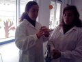 ExpoCiencia