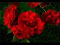 stevie wonder   happy birthday