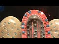 Small Intestines Histology Model - Intestinal Glands