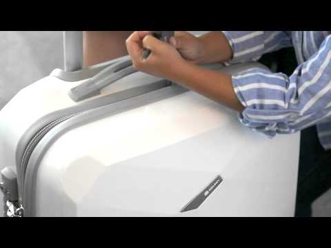Delsey Zip Securi Tech Karat Luggage