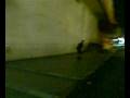 videos de pagadian skate ollie gap ni myco