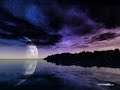 Dreams Dreams