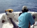 Torneo de Pesca La Ceiba 2008