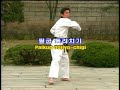 Kukkiwon Text Book 1-e Chigi-Striking 1995