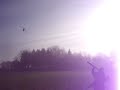 Pheasant Shooting - Hereford, England