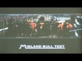 Midland Bull Test RFI Seminar - Part Two