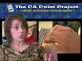 PA Palm Project