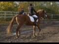 videos de soinnun samuli ♥