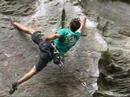 Sharkey Climbing Movie