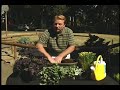 How to make a functional deckrail planter.