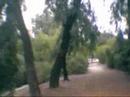 GOLF CART RIDE from the SAC