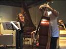 Viool en contrabas duo - instrumentenbouw - Cmb Viool en contrabas duo - instrumentenbouw - Cmb