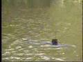 Rocket launching sub shakedown