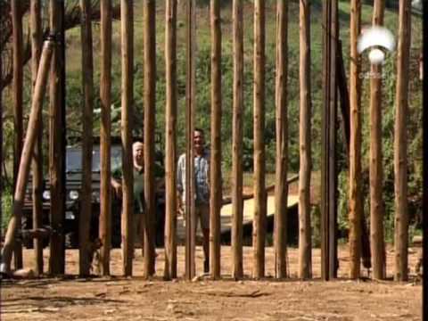 dientes de sable -