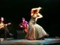 videos de Flamenco Camerata