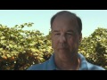 What Impact Do Regulations Have On Small Farmers?