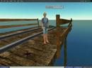 The Bridges of Hobo Village