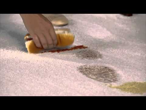 Proheat 2X Revolution Pet - Carpet Nightmare Test with Jeni Bond
