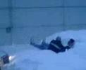jackass-saint-omer.html