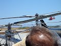 coast guard dauphin hh-65 helicopter flyby