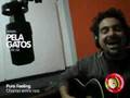 Pure Feeling - Acustico en PelaGatos - Reggae