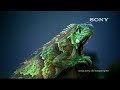 SONY DEMO - Faszination Natur - Seven Seasons SONY DEMO - Faszination Natur - Seven Seasons