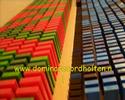I.D.T domino