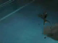 Grimmjow Jaggerjack - Blow me away Grimmjow Jaggerjack - Blow me away