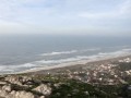 Figueira da Foz - Cogumelos