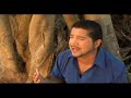 Nunca se acabo el encanto - Banda la Costeña